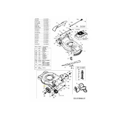 Correa trapezoidal 754-04068 ORIGINAL MTD | NewgardenParts.com