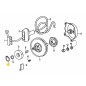 Anello elastico 28.3591.10 ORIGINALE MTD