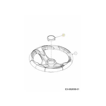 BOUCHON : SANS GRAINES : PETITES ROUGES 731-09284 ORIGINAL MTD | NewgardenParts.com