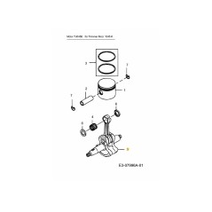 VILEBREQUIN KM-006663 ORIGINAL MTD