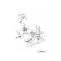 Bride de palier 741-04050 ORIGINAL MTD