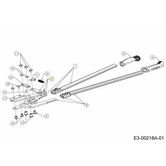 ALL'AVANGUARDIA CON PADDOCK 697-01108 ORIGINALE MTD | NewgardenParts.com
