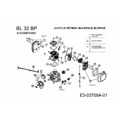 CYLINDER GASKET 753-05681 ORIGINAL MTD | NewgardenParts.com