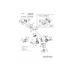 Vite 791-181617 ORIGINALE MTD | NewgardenParts.com
