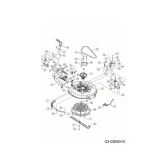 ASM DEL PONTE 30 POLLICI 683-04459637 ORIGINALE MTD | NewgardenParts.com