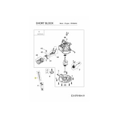 ASTINA DI LIVELLO 751-12696 ORIGINALE MTD | NewgardenParts.com