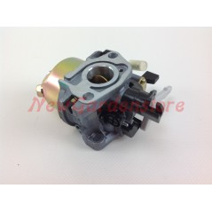 Vergaser ZANETTI PETROL ENGINE kompatibel ZBM160 B05.09.100 | NewgardenParts.com