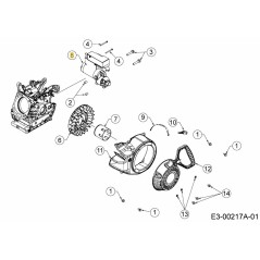 ELECTRIC STARTER 230V EU 751-17286 ORIGINAL MTD | NewgardenParts.com