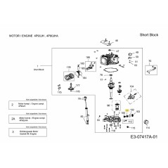 RESORTE DE BOTÓN 751-12250 ORIGINAL MTD | NewgardenParts.com