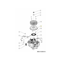 VOLANT D'ORIGINE 751-16066 MTD