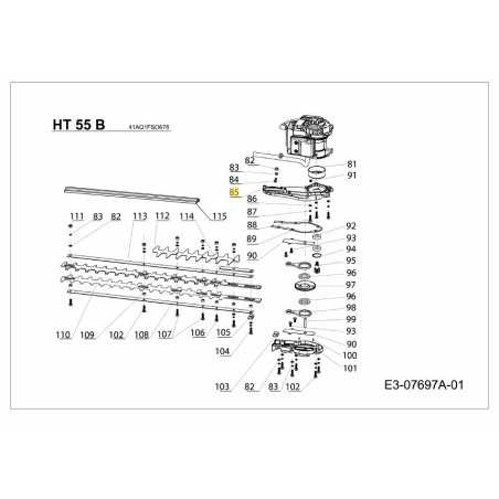 Carter d'engrenages SG-2072720 d'origine MTD | NewgardenParts.com
