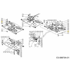 Chape de direction à engrenages 717-04825 ORIGINAL MTD | NewgardenParts.com