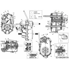ROUE D'ENTRÉE 717-04332 ORIGINALE MTD | NewgardenParts.com