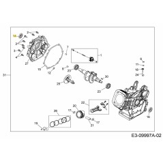 Dichtring 751-11372 Original MTD | NewgardenParts.com