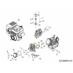GASKET CYLINDER HEAD 751-12076 ORIGINAL MTD | NewgardenParts.com