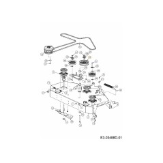 IDLER PULLEY 5.0" 756-05213 ORIGINAL MTD | NewgardenParts.com
