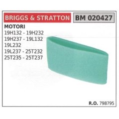 BRIGGS&STRATTON filtre à air pour tondeuse à gazon 19H132