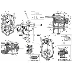 Ball-Detent .375 4X4 741-04209 Original MTD | NewgardenParts.com