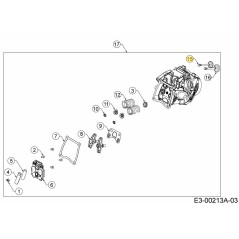 Einlassventil 751-16909 Original MTD