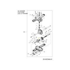 PIGNON CONIQUE 42T 717-04056 ORIGINAL MTD | NewgardenParts.com