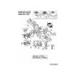 LAMA-21IN-PACCIAMATURA 53CM 742-0721 ORIGINALE MTD LAMA-21IN-PACCIAMATURA 53CM 742-0721 ORIGINALE MTD