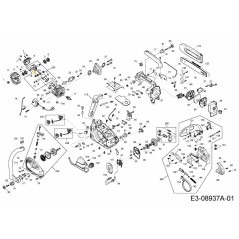 Nadellager 092.63.387 Original MTD | NewgardenParts.com