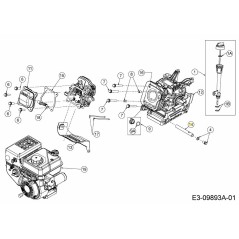 Tuyau de vidange d'huile 751-11350 d'origine MTD | NewgardenParts.com