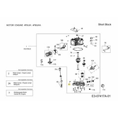 TAPPO DI SCARICO DELL'OLIO 710-05311 ORIGINALE MTD | NewgardenParts.com