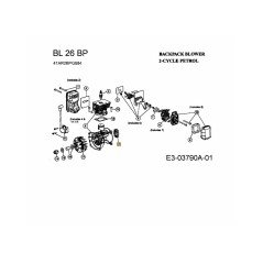 CLUTCH ASSY, PTO 753-05635 ORIGINAL MTD | NewgardenParts.com
