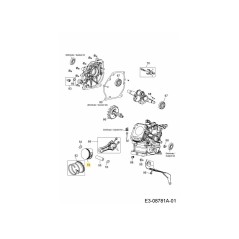 Piston assembly 751-14318 ORIGINAL MTD | NewgardenParts.com