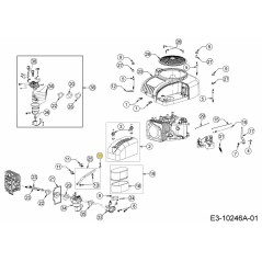 Rohrstopfen 1/8 NPTF Sechskant CTSK. 751-14091 ORIGINAL MTD
