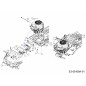 CARBURADOR SHIELD 703-09615A ORIGINAL MTD CARBURADOR SHIELD 703-09615A ORIGINAL MTD