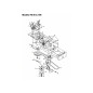 PULEGGIA 656-0011 ORIGINALE MTD