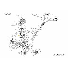 POLEA MOTRIZ 092.65.013 ORIGINAL MTD | NewgardenParts.com