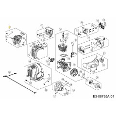 ANTIPASTO 753-06243 ORIGINALE MTD | NewgardenParts.com