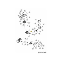 Schraubenwaschanlage HD TAPP 710-06447 ORIGINAL MTD