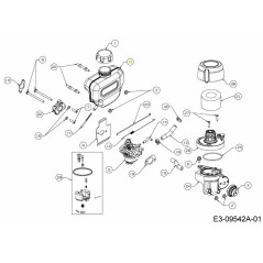 KRAFTSTOFFTANK 731-11663 ORIGINAL MTD | NewgardenParts.com