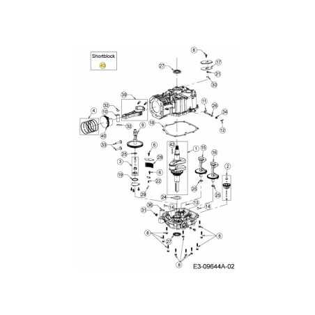 BLOC-MOTEUR 751-16646 ORIGINAL MTD | NewgardenParts.com
