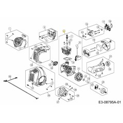 BLOC-MOTEUR 753-06828 ORIGINAL MTD | NewgardenParts.com