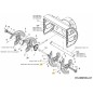 COCLEA ASM LH 684-04151717 ORIGINALE MTD