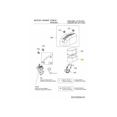 SPONGE FILTER 751-12256 ORIGINAL MTD | NewgardenParts.com