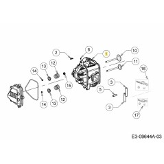 Cylinder head 618-07090 ORIGINAL MTD | NewgardenParts.com