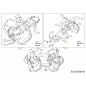 TINE BOLO 12" LH 742-04223637 ORIGINALE MTD