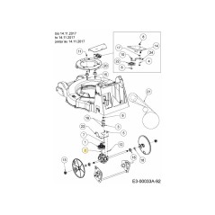TRANS ASM SP VAR 46cm 618-07426 ORIGINALE MTD | NewgardenParts.com