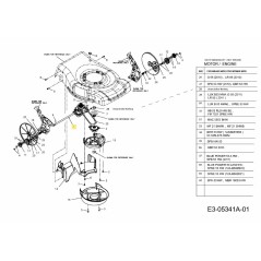 TRANS ASM XP 618-04826A ORIGINALE MTD | NewgardenParts.com