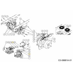Tuyau d'huile 5/8 x 12,0 751-12281 Original MTD | NewgardenParts.com