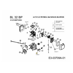 TUBE D'HUILE ASM AC4 753-05682 ORIGINAL MTD