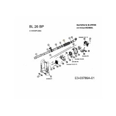 TUBO FLESSIBILE BKPK 753-05641 ORIGINALE MTD | NewgardenParts.com