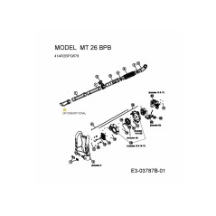 UGELLO 753-06001 ORIGINALE MTD | NewgardenParts.com