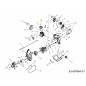 Vis 791-181025 ORIGINALE MTD